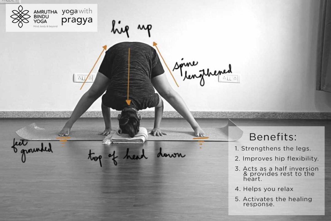 Prasarita Padottanasana Wide Legged Forward Fold Yoga with Pragya