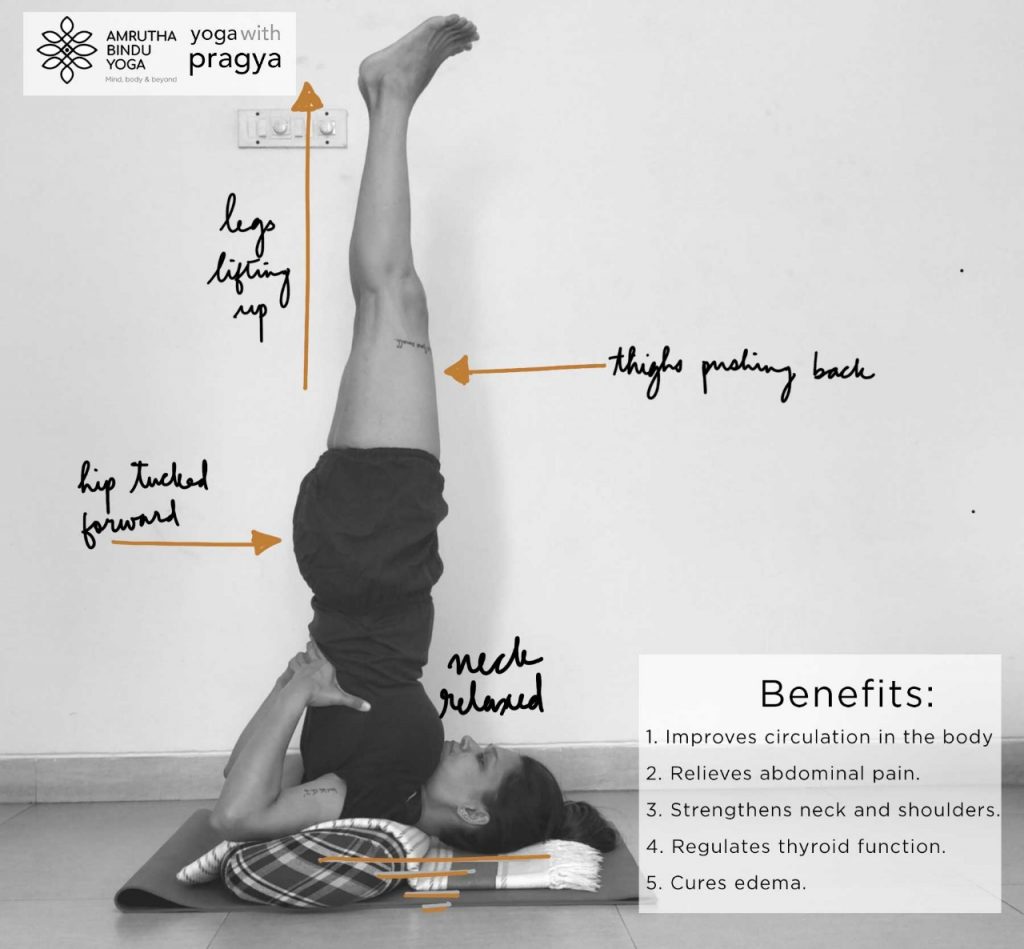15 Health Benefits of Sarvangasana  Shoulder Stand yoga pose
