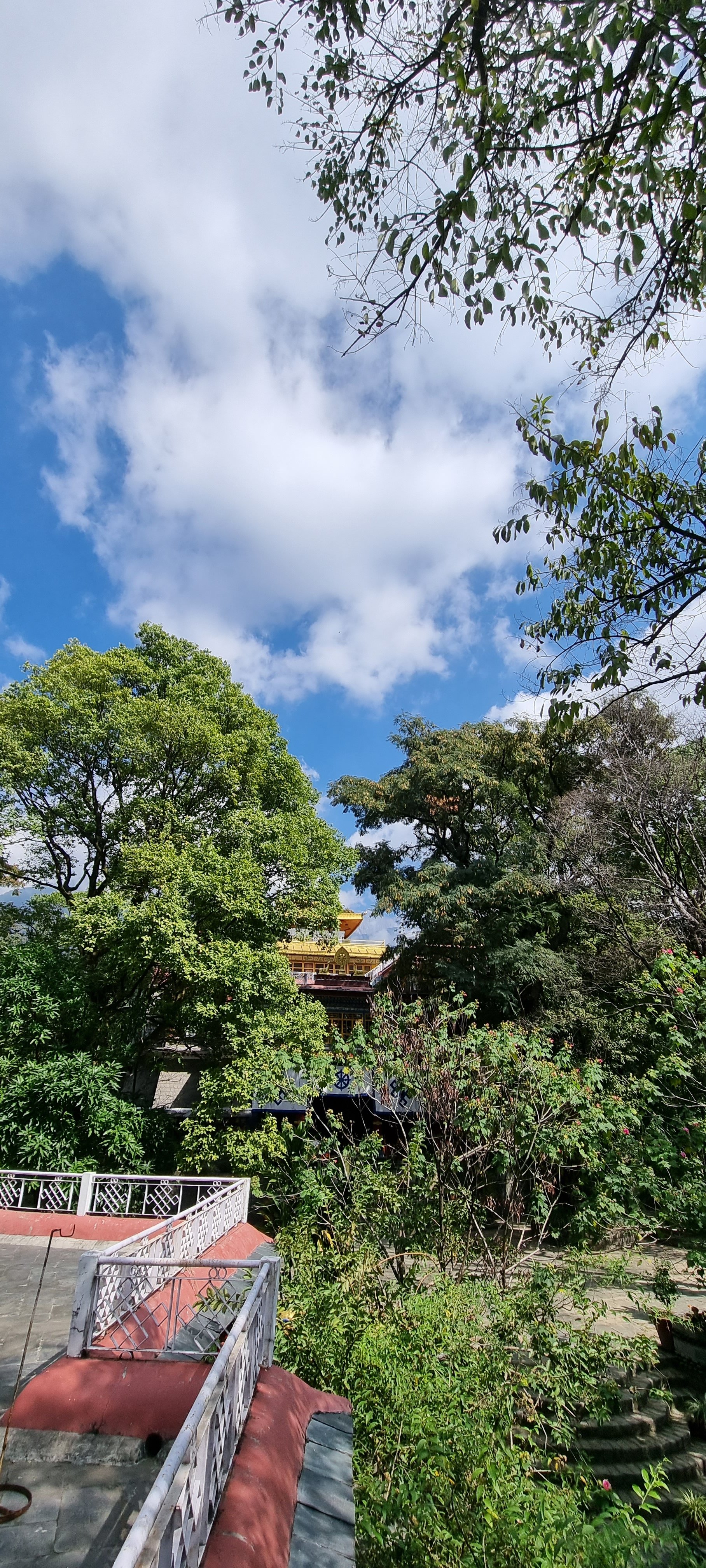 The beautiful Norbulingka monastery against the Dhauladhar range.