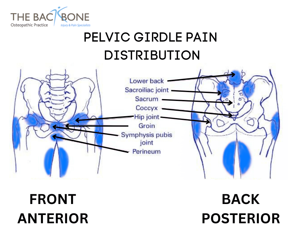 Source: https://thebackbone.co.uk/pelvic-girdle-pain-pgp/