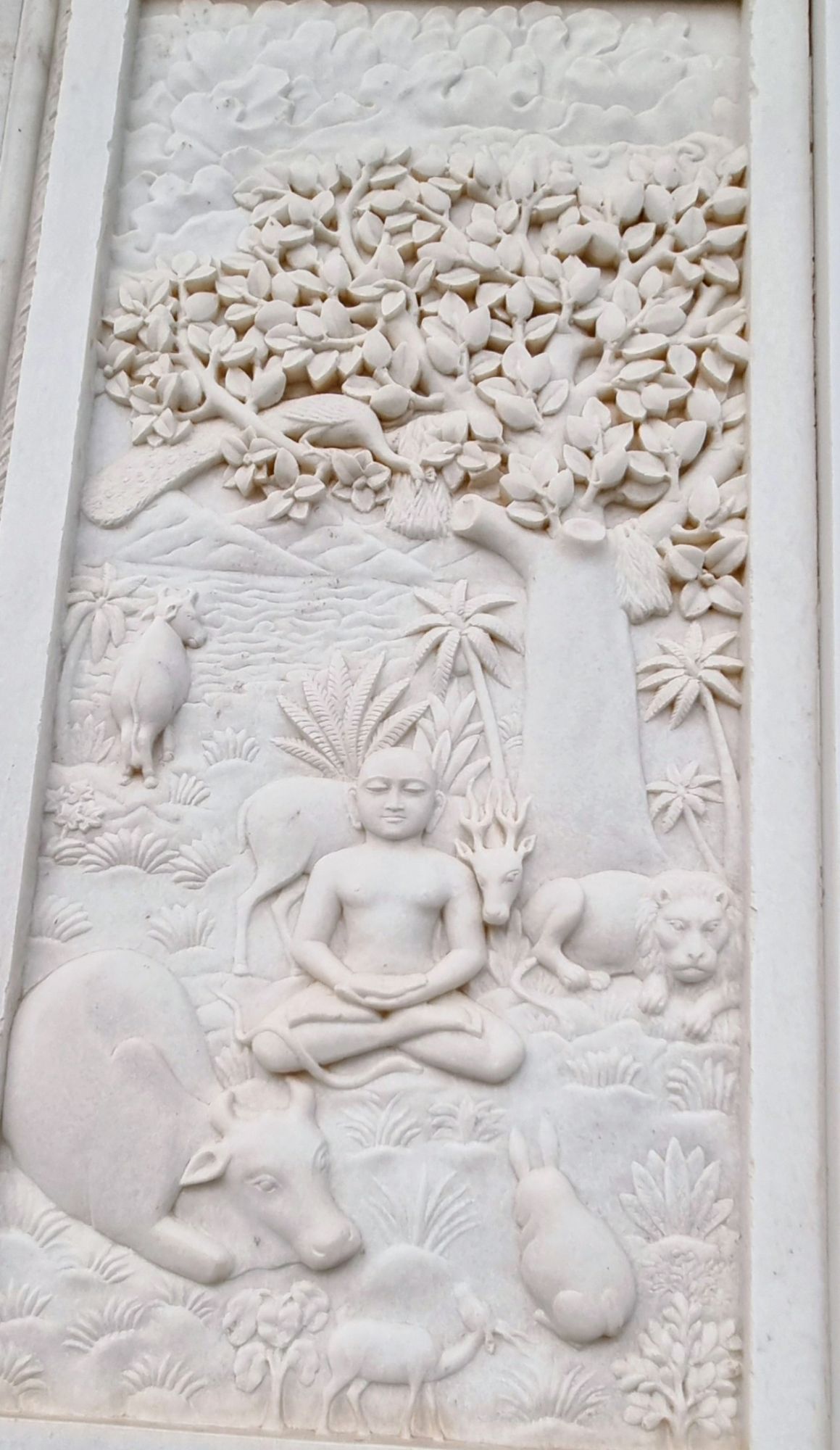 I can't help but take pictures of yogasanas.