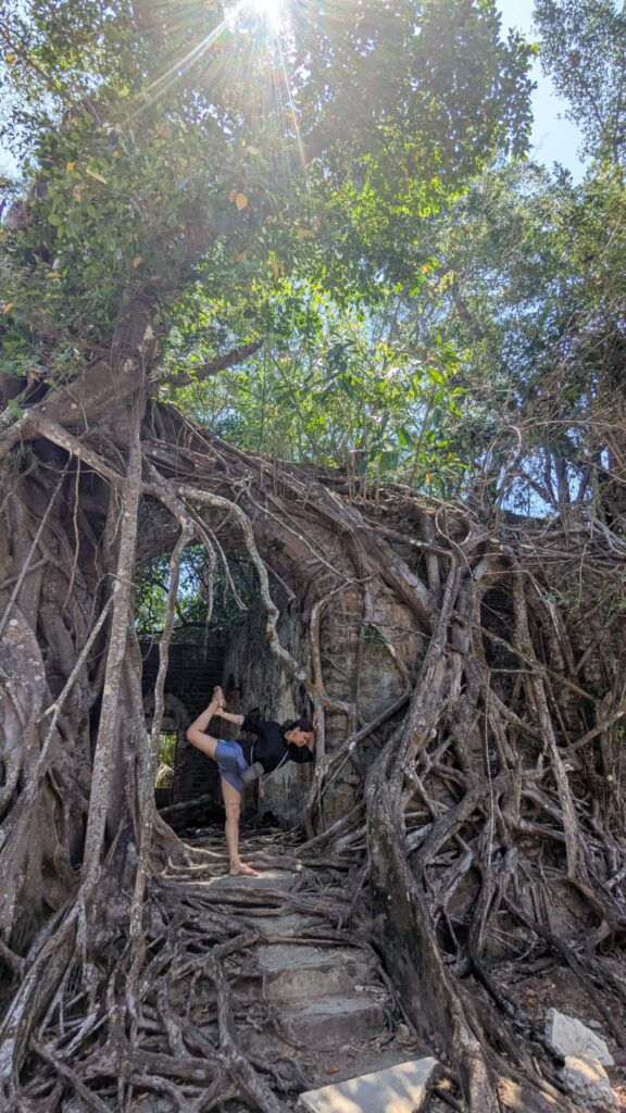 The overgrown roots that now overrun the British ruins at Ross Island. 
